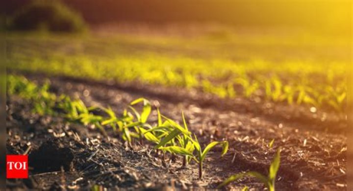 A Path To Sustainable Agriculture
